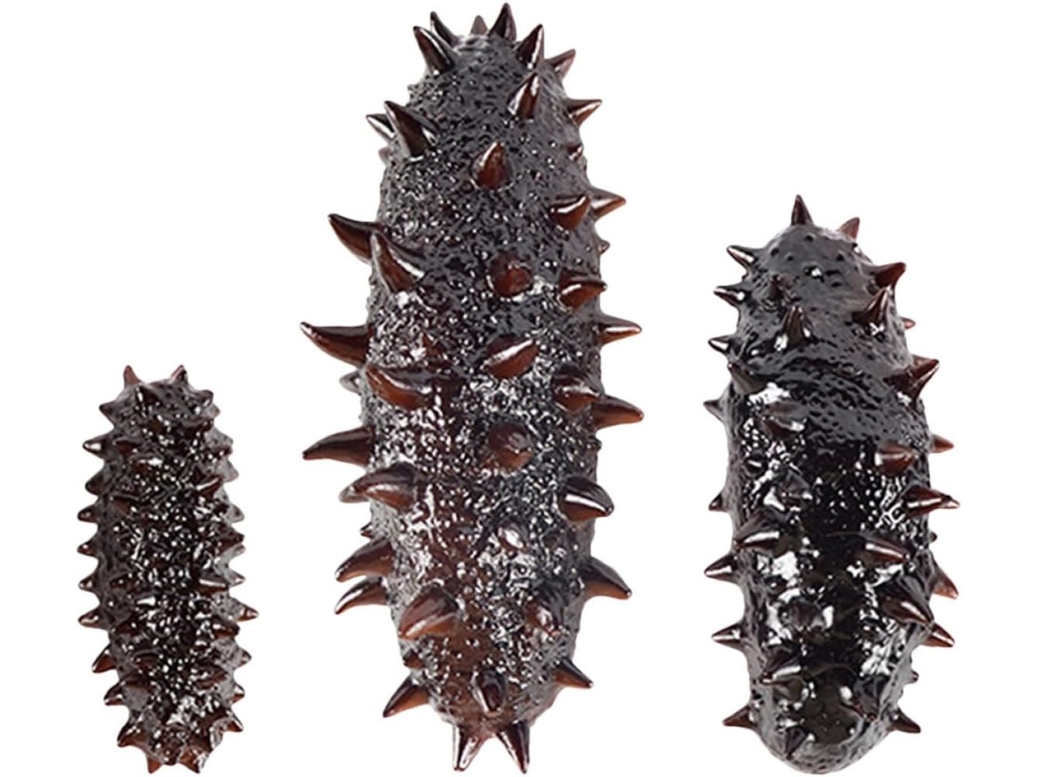 Conjunto de 3 Peças de Pepinos do mar Artificiais CHABERLU