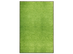 Vidaxl Tapete De Porta Lavável 120x180 Cm Verde