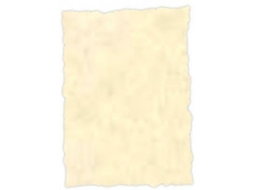 Parchment Paper Michel Topázio A4 25 Unidades