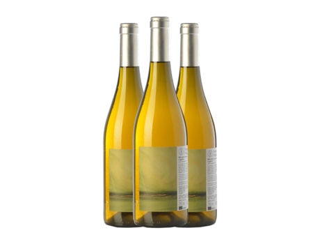 Vinho branco VINYES SINGULARS Macabeu Macabeo Crianza (0.75 L - 3 Unidades)