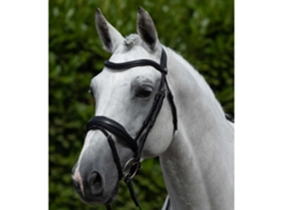 Cabresto anatómico com cabresto de equitação combinado em inglês Premier Equine Rizzo