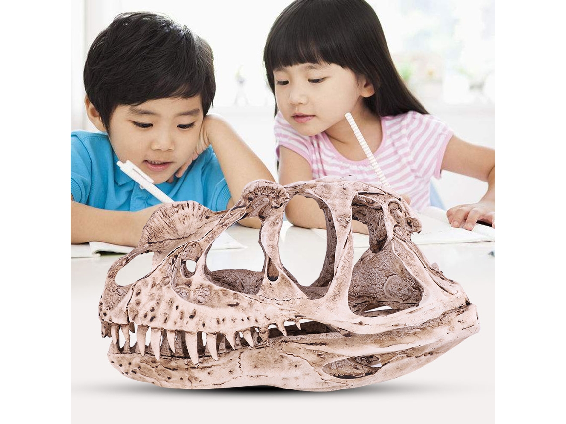 Dinosaur Skull Ornament (simulated Ceratosaurus Shape, Durable Resin Material) Eoocoo