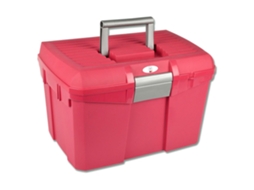 Caixa de Armazenamento Lockable Douradowaldhausen