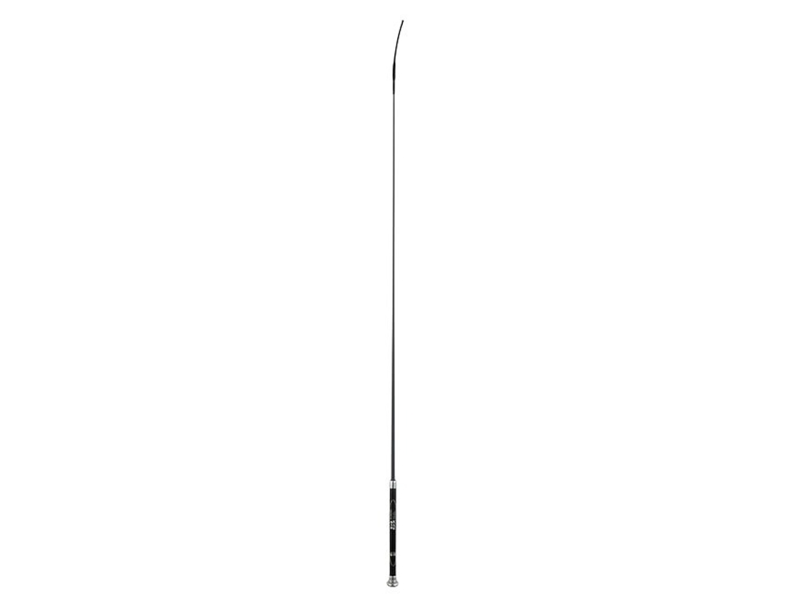 Stick de Dressage de Carbono B VERTIGO