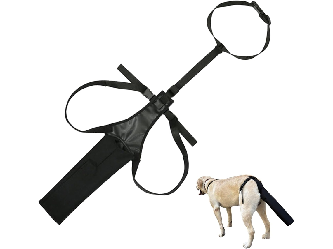 Protetor De Cauda Cachorro, Bolsa Ponta Da Cauda, Proteção E