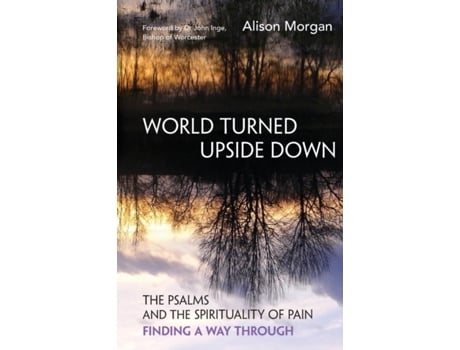 Livro World Turned Upside Down de Alison Morgan (Inglês)