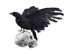 Laxiscreed Witch Hand Esqueleto De Mão Para Decoração De Festas Temáticas E Celebrações