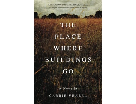 Livro The Place Where Buildings Go de Carrie Vrabel (Inglês)