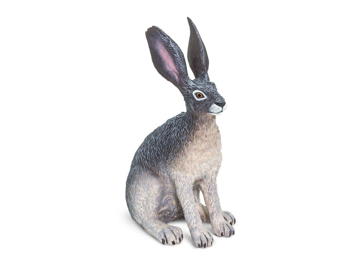 SAFARI American Desert Hare