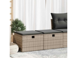 Vidaxl 2 Pcs Conjunto Sofás Jardim Almofadões Vime Pe/acácia Cinzento