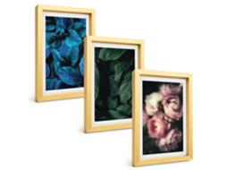 Composição De Quadros Folhas, Flores, Várias Cores Espelharte (3 Peças 20x30 Cm)