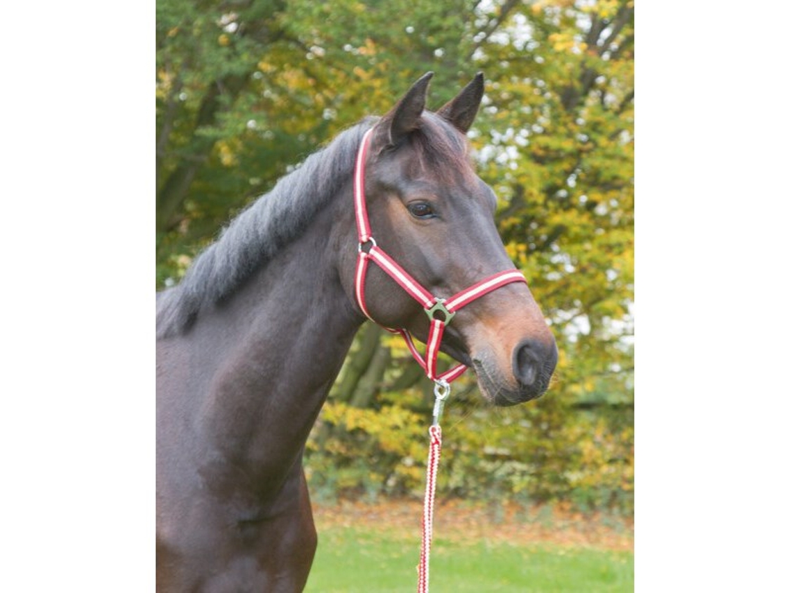 Espiga de cabresto de nylon Kerbl hippo