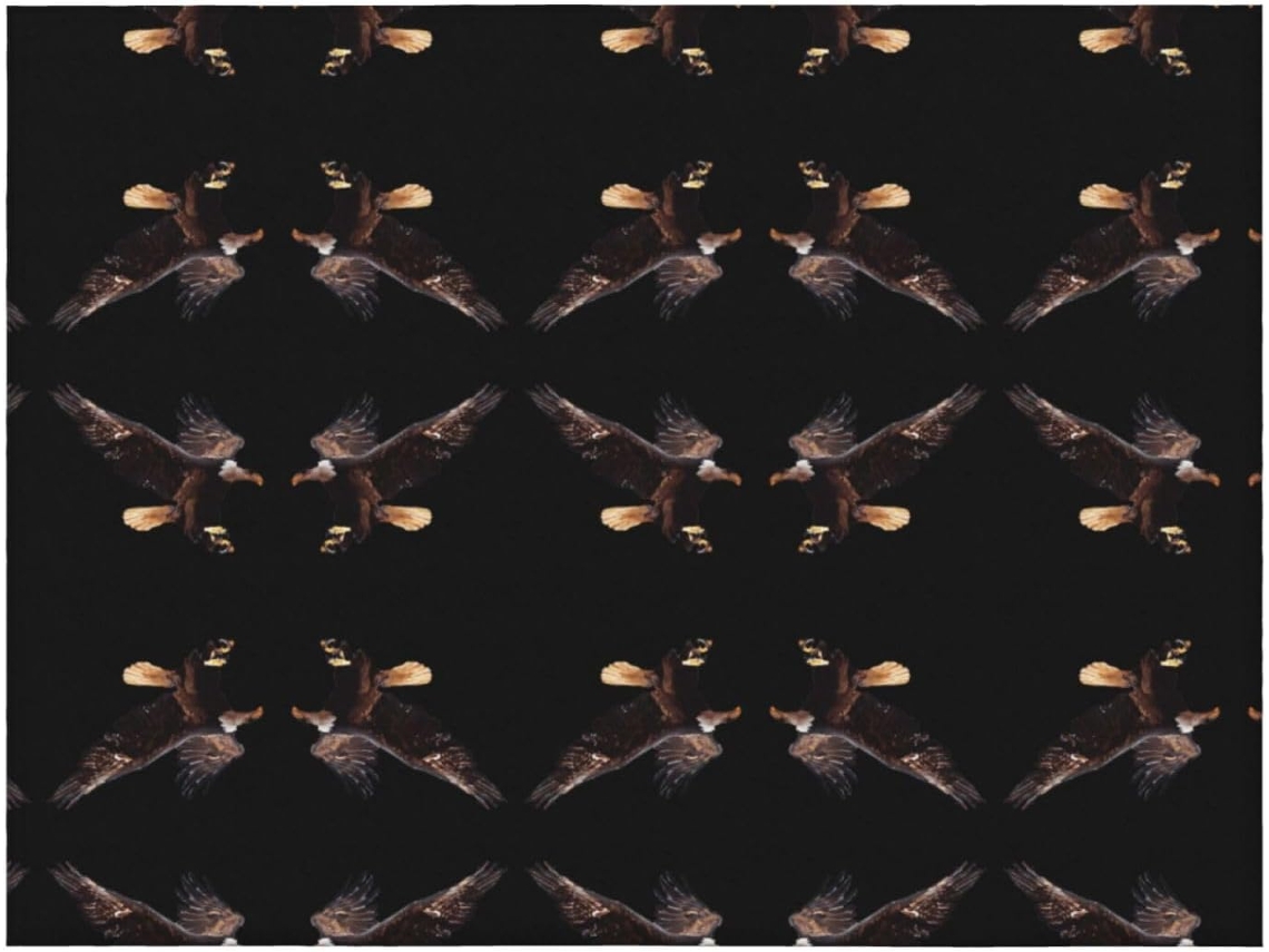 Colcha de Flanela com Estampa Águia Macia e Aconchegante para Sofá Quarto 152 4 X 127 Cm, Macio, Quente, Ide