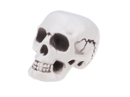 A Nova Decoração de Caveira 1Pcs ALLINLESS