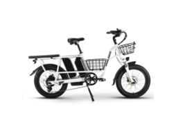 Bicicleta Elétrica Dobrável PHILODO Traveler Motor 1000 W Dupla Bateria 48 V 17,5 Ah 20 Pol.