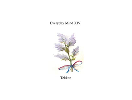 Livro Everyday Mind XIV XIV de Tekkan (Inglês)