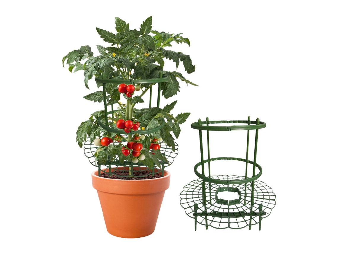 Adesivo de Parede em PVC decorativo Primerox