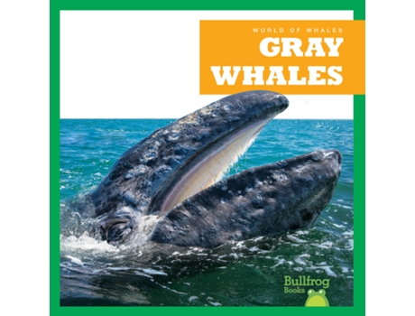 Livro Gray Whales de Eliza Leahy (Inglês - Capa Dura)