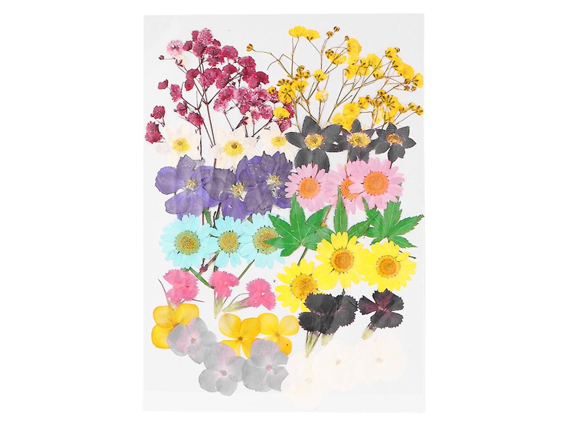 42 Unidades de Flor Seca ALLINLESS