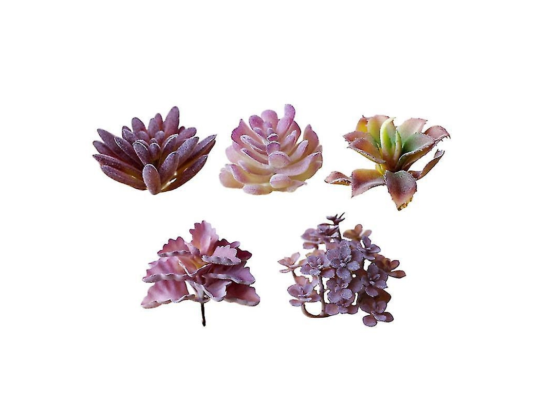 5 Unidades de Flores Suculentas Artificiais BRILVIBERA