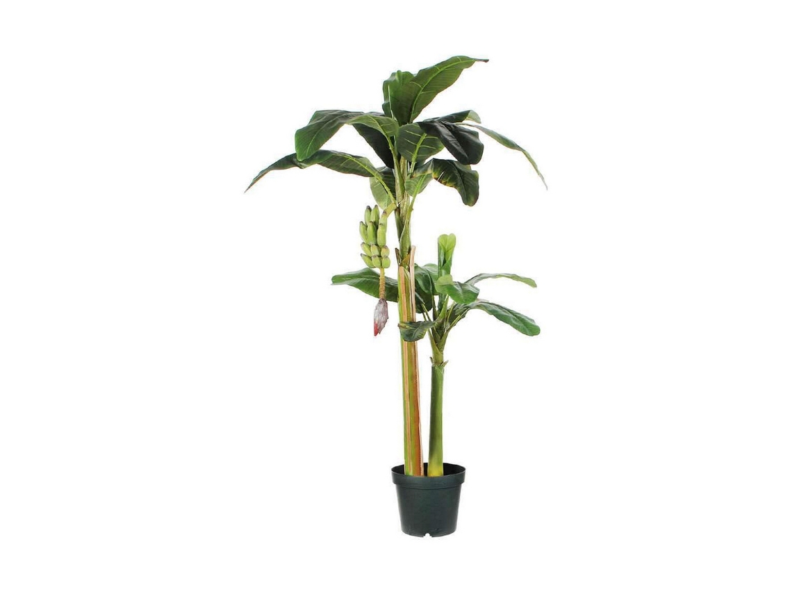 Planta Decorativa MICA DECORATIONS (115 x 180 Cm)