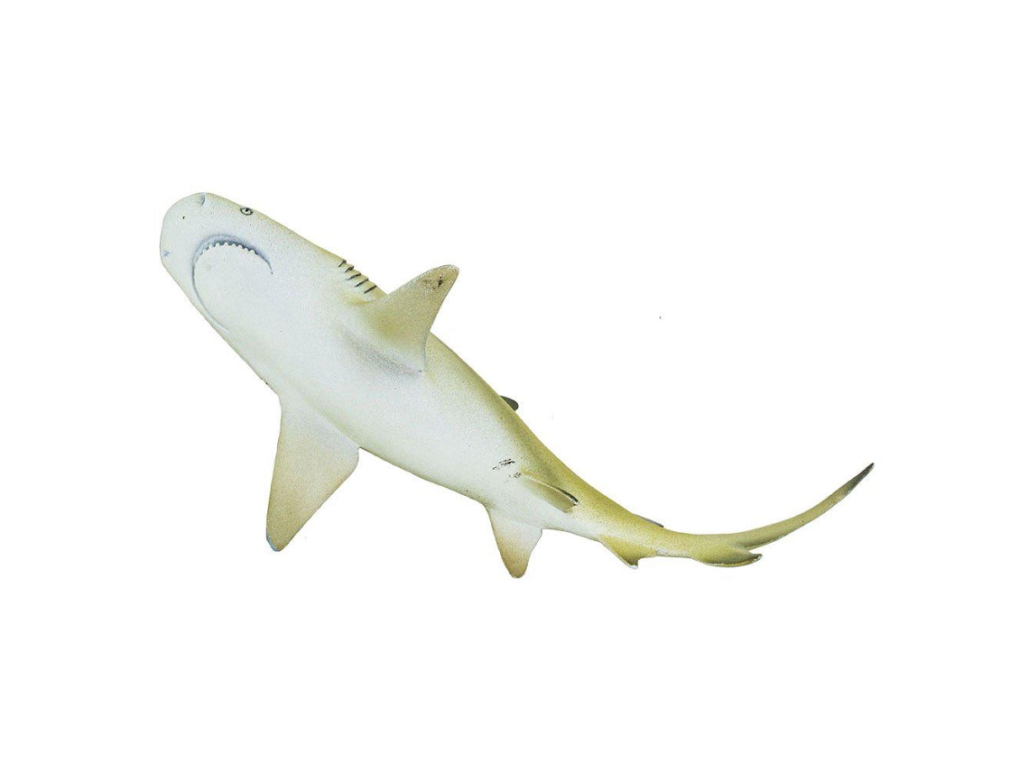SAFARI Lemon Shark