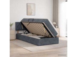 Vidaxl Cama Com Armazenamento Cinzento-escuro 100 X 200 Cm Veludo