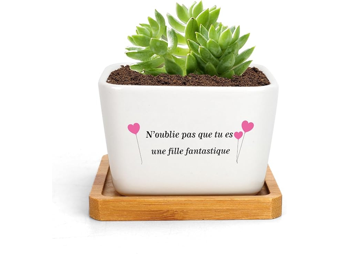 Vaso Interior Flor