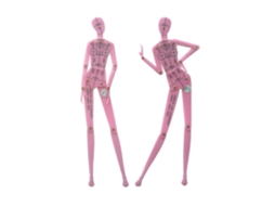 Regras, Conjunto De Design Roupas, Modelo Para Desenho Do Corpo Humano, Figura Masculina E Feminina, Conjunto De
