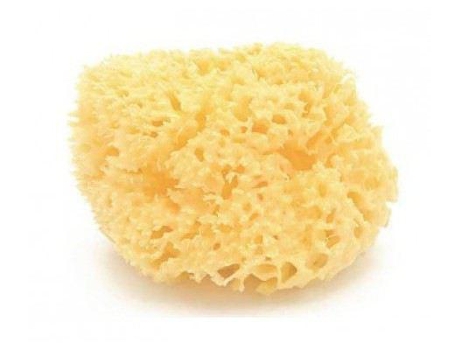 Koronis Natural Marine Sponge Grande