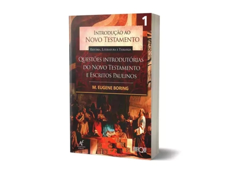 Livro Introdução Ao Novo Testamento Cartas Católicas, Sinóticos E Escritos Joaninos - Vol. 01 De M Eugene Boring (português Do Brasil)