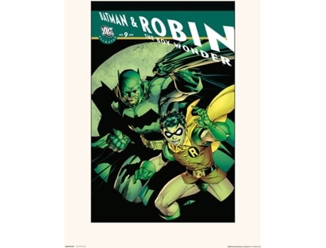 Print S 30X40 Cm Batman & Robin Tbw 9
