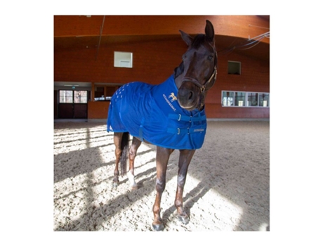 Tapete de acupressão para as costas ACCUHORSEMAT