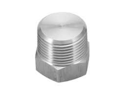 Tapón De Tubo De Acero Inoxidable Con Rosca Macho, Cabeza Hexagonal, Encastre, Plug Countersunk, Conexiones De Tubo (npt3/4 1 Pieza)