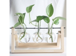 Suporte de Madeira Transparente para Plantas Hidropônicas Mesa Creativo