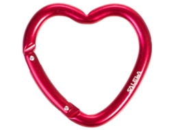 Salewa Mosquetão Heart