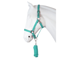 Conjunto de Cabresto para Cavalos de Dez Centavos HORKA Extra Full