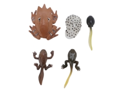 Mali brinquedo de Figura Animal Rã Ciclo de Crescimento Realista Pvc Educativo para Crianças