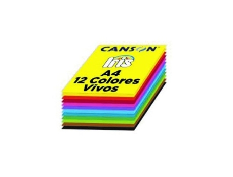 Livro Paq/120 Cartulinas Iris A4 185g. Surtido 12 Colores Vivos De Desconocido (espanhol)