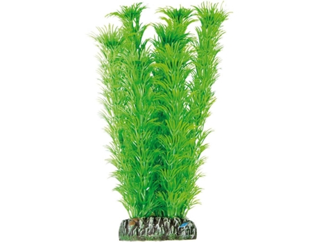 Adorno para Peixes AQUATIC PLANTS Ambulia (Verde - 21 cm - Plástico)