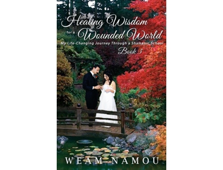 Livro Healing Wisdom For A Wounded World My Life-changing Journey Through A Shamanic School De Weam Namou (inglês)