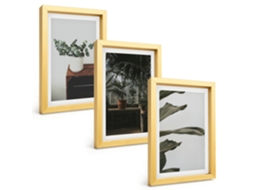 Quadros Decorativos Para Paredeplantas Rústicas Em Vasos Moldura Dourada Quadros Para O Escritório Espelharte (3 Peças 20x30 Cm)