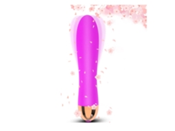 Vibradores Femininos Dildo Sexual Feminino Recarregável Brinquedos Sexuais Púrpura Chennnls