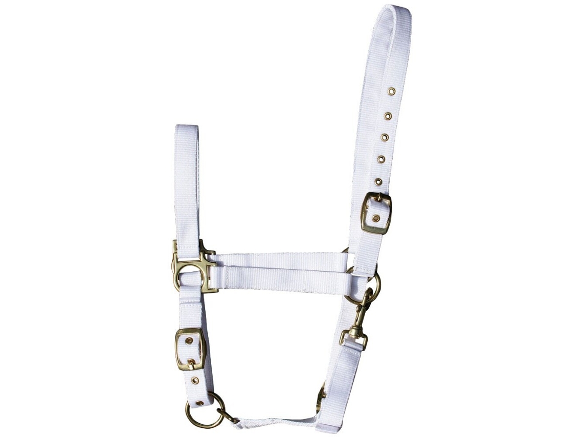 Conjunto de 3 cabresto de cavalos Harry's Horse