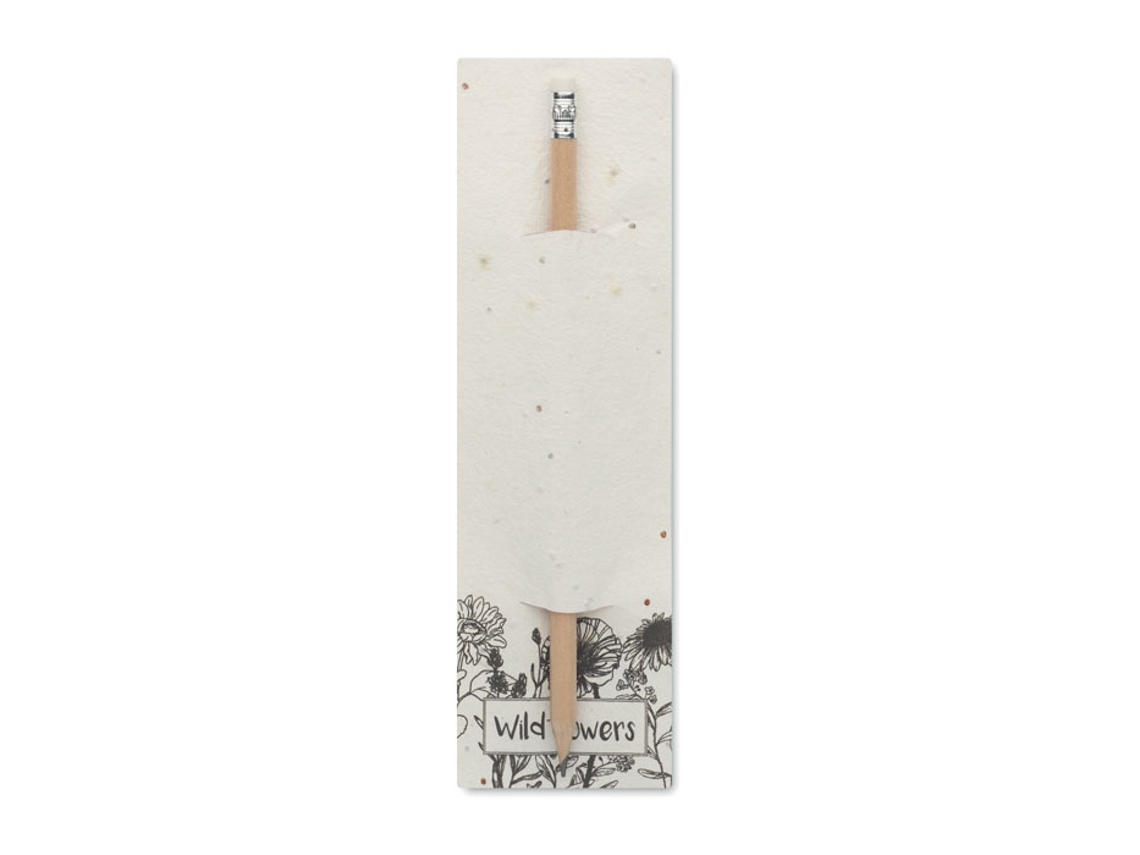 Recipiente de madeira para lápis - Sementes - MIDOCEANO