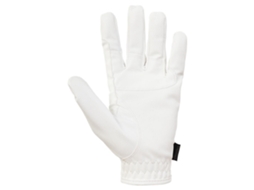 Luvas de Equitação BR EQUITATION Essential Acer Taille 8