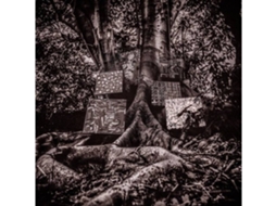CD KAMASI WASHINGTON: HARMONY OF DIFFERENCE