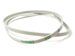 Correia 1197j5 El Poly MEGADYNE Siltal 36060900 para Máquina de Lavar Roupa Blj180un