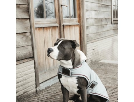 Casaco Impermeável Unisexo KENTUCKY DOGWEAR (51/59 cm - Azul)