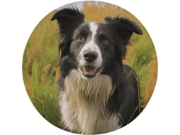 Almofada De Borda Para Computador, Almofada De Meditação Mohado Com Estampa Border Collie, Almofadas Para Cadeiras De